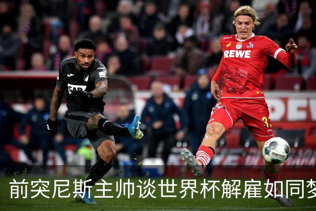 前突尼斯主帅谈世界杯解雇如同梦幻婚礼的无奈之旅